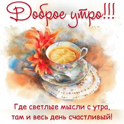 Testohouse - Доброе кофейное утро! Приходите к нам в свободное время, у нас  очень вкусный итальянский кофе. А выбор десертов - просто  головокружительный! #ТестоХаус #кофейня #пекарня #кондитерская #кофекофе  #нашрайон #Петербург #кофе #семейноекафе #