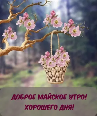 Михаил Афанасьев: Доброе майское утро, симферопольцы! - Лента новостей Крыма
