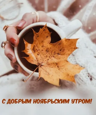 Открытки \"Доброго новбрьского утра!\" (100+)