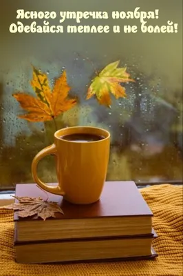 С добрым утром | Осенние картинки, Летние фотографии природы, Доброе утро