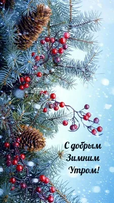 МУЗ-ТВ - Доброе утро! Тест на возраст: кто помнит такие советские новогодние  открытки? 🎄👍 | Facebook