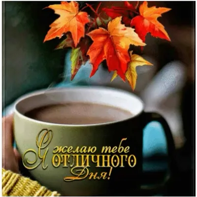 С добрым утром октября - самые красивые новые картинки (61 ФОТО) | Осень, Доброе  утро, Октябрь