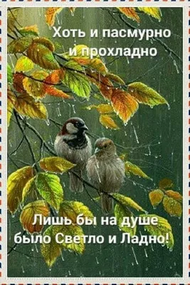 Доброе пасмурное утро) За окном... - GX - Новини Харкова | Facebook