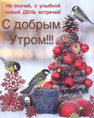 Доброго предновогоднего, последнего в 2023 году вторника 🎄