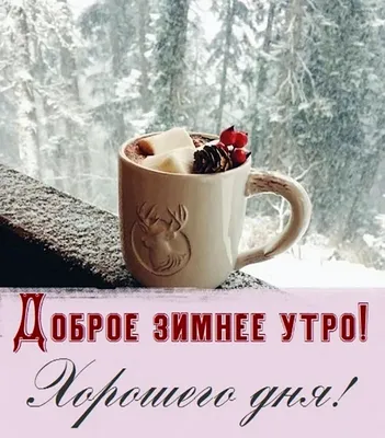 Instagram photo by Доброе утро 🥰🐞🎀 #доброеутро • Dec 28, 2023 at 10:14 AM