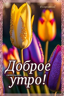 1 мая (Праздник труда) | ВКонтакте | 1 мая, Счастливые картинки,  Праздничные открытки