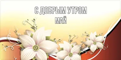 С добрым утром радость моя! - Доброе утро - Повседневная анимация -  Анимация - SuperGif