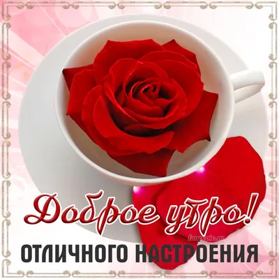 Открытка доброе утро женщине — Slide-Life.ru