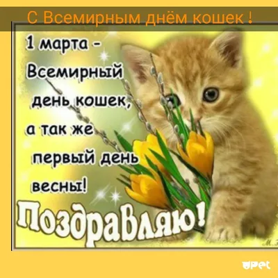 1 марта, среда – доброе утро, Ярославль! 20 признаков того, что вы влюблены  - YarNews.net
