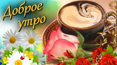 Торговая сеть \"РАДУГА\".Все для дома и дачи - УРРРААА!!!!)))  ВЕСНАаааааа!!!)))💐💐💐 Доброе утро, дорогие друзья!)😂😂😂 С 1МАРТА ВАС  всех !) Чуете, уже пахнет весной!))))) 😜😁🤗 #1марта #весна #радугакурск |  Facebook