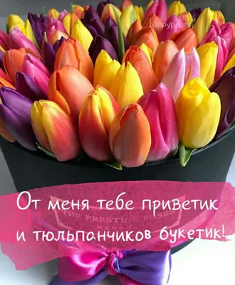 Пин от пользователя Irina Cochubey на доске 8 Марта | Весна цветение,  Картинки, Надписи
