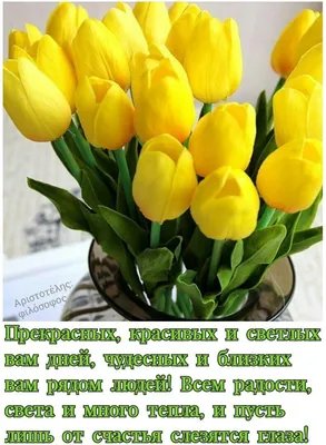 ПРИВЕТСТВИЯ и ПОЖЕЛАНИЯ, открытки на каждый день. опубликовал пост от 8  марта 2023 в 19:04 | Фотострана | Пост №2564070693