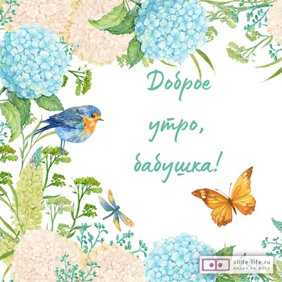 Доброе утро бабушка