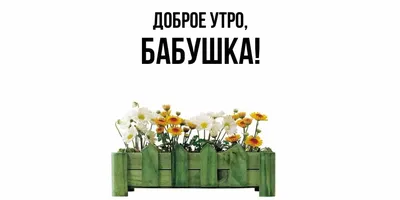 Кружка Шурмишур \"\"Доброе утро\" Бабушка\", 310 мл, 1 шт - купить по доступным  ценам в интернет-магазине OZON (251491486)