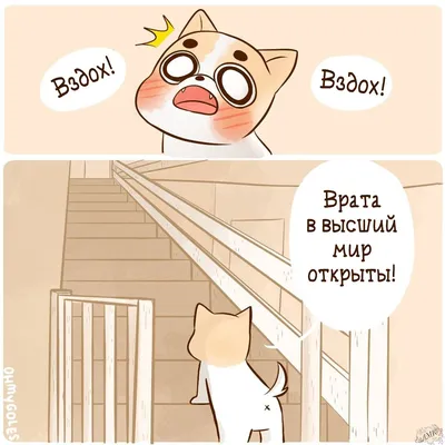 всё обо всём - - Доброе утро! - Ещё денёк, друзья – Октябрь! Уж, на пороге  - старший брат, Спешит, торопится Ноябрь, Сменить братишку очень рад! Ну,  что поделать? Да, уходит, Несётся