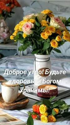 galina_flowers999999999 on Instagram: \"Доброе утро дорогие друзья! Всем  хорошего дня и отличного настроения. Будьте здоровы и счастливы, любите и  берегите себя и своих близких. #взаимныелайки #взаимныеподписки #весна2023  #дорога #друзья #люди #здоровье ...