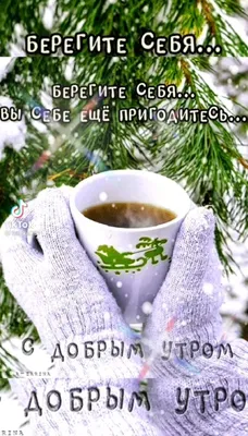 🎅 С ДОБРЫМ УТРОМ, ДРУЗЬЯ! 🎅 Сегодня утро декабря, Я доброе утро тебе  пожелаю. Стучится.. | ВКонтакте