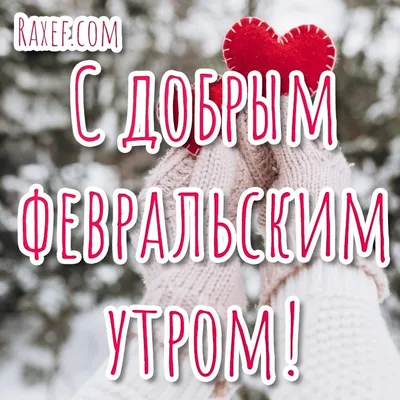 4 #февраль #суббота #утро #длявас #доброеутро #пожелания #длятебя #хо... |  TikTok