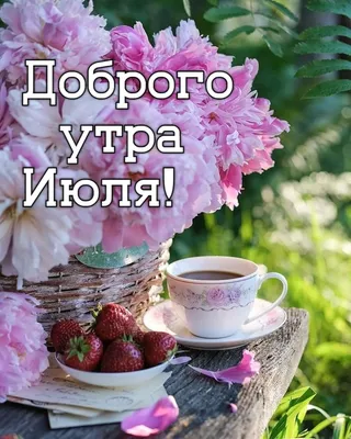 media.az | ☀️Доброе утро! #утро #доброеутро #лето #июль #mediaaz | Дзен