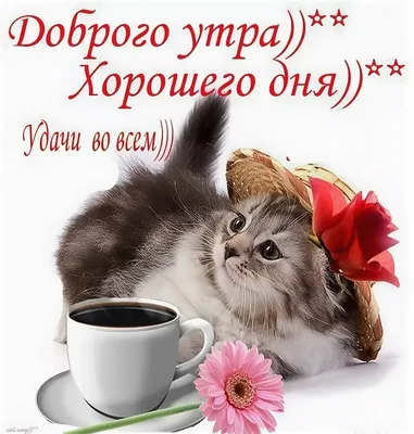 Пин от пользователя Marinka Mikhaylichenko на доске Доброе утро | Доброе  утро, Милые открытки, Открытки