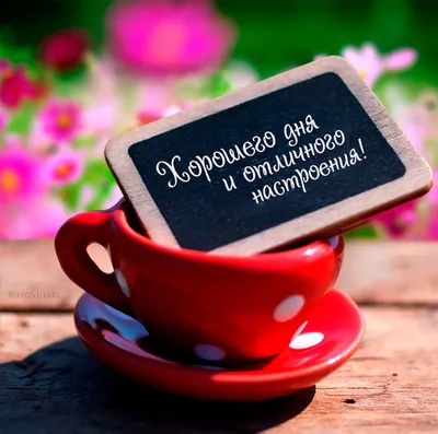 Доброго утра!🥰🥰🥰 Хорошего дня и отличного настроения!🌞☕🍩 #доброеу... |  TikTok