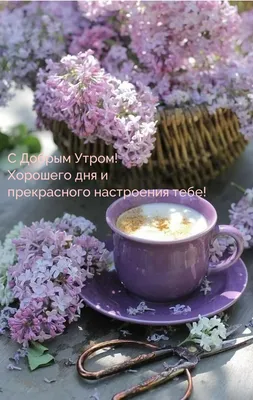 Доброе утро! ☀️ Хорошего дня и прекрасного настроения! 💫✨ | ВКонтакте