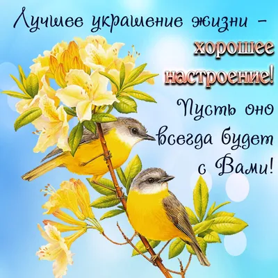 С Добрым Утром!🌺Хорошего Дня и Отличного Настроения! Сергей Чекалин!  Музыкальная Открытка Пожелания - YouTube