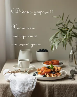 Доброе утро - Хорошего настроения ... Галинка Багрецова ... | Лира Vision -  Галинка Багрецова | Дзен