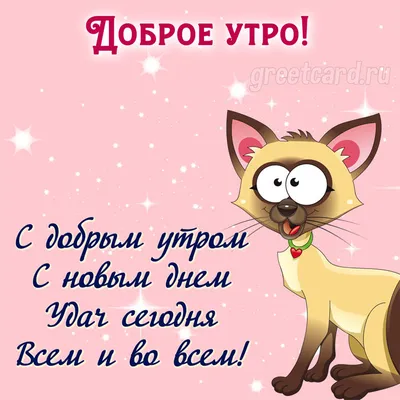 Доброе утро котик