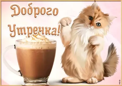 кофе :: доброе утро :: котэ (прикольные картинки с кошками) / смешные  картинки и другие приколы: комиксы, гиф анимация, видео, лучший  интеллектуальный юмор.
