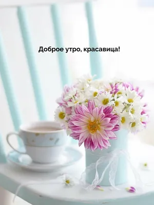 Доброго осеннего утра, спящая красавица! — Скачайте на Davno.ru