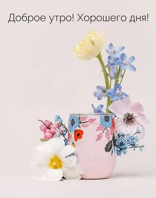 С Добрым Утром Любимая Красивые Цветы Картинки – Telegraph