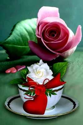 Доброе 🏵🍃💐🌿🏵 Утро любимым! | Красные розы, Красивые розы, Фиолетовые  розы