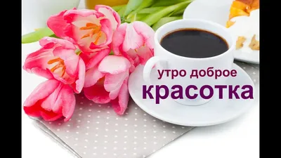 Доброе утро красотки | Драгоценные дети, Красотки, Милые открытки