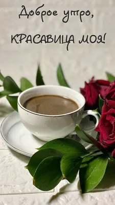 Пин от пользователя Наталья на доске Доброе утро | Красивые розы, Доброе  утро, Красотки