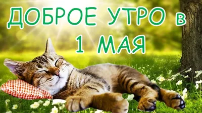 sm1rnovamari - 🌼ДОБРОЕ УТРО ЧЕТВЕРГА🌼 . Завтра уже пятница! А там и  выходной! Давай сегодня радоваться, что мы с тобой живём! .😉 #утро  #четверг #май #весна #жизнь #радость #настроение #погода #природа  #смирновамарина | Facebook