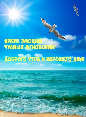 На Море Кофе Всегда Он ♥!!! | Александр Антонов | Дзен