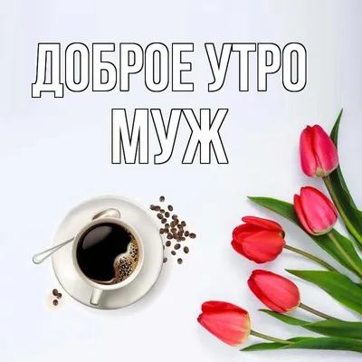 Сайт с фотками, картинками, обоями, открытками на разные темы: Картинки -  pictx.ru