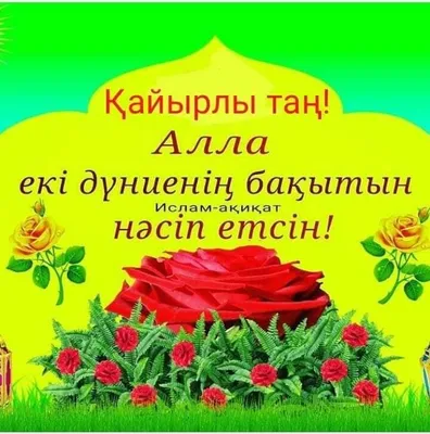 открытка с добрым утром на казахском языке｜Поиск в TikTok
