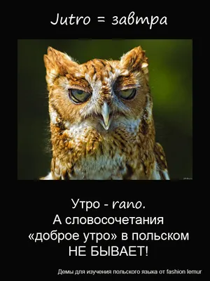 Доброе утро, любимые люди. Доброе утро, родные сердца! И целый день, и утро,  и вечер.. | ВКонтакте