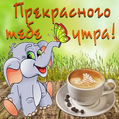 Картинки доброго ранку на українській мові гарного дня (48 фото) » Юмор,  позитив и много смешных картинок