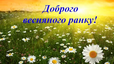 поздравления с добрым утром на украинском языке｜Поиск в TikTok