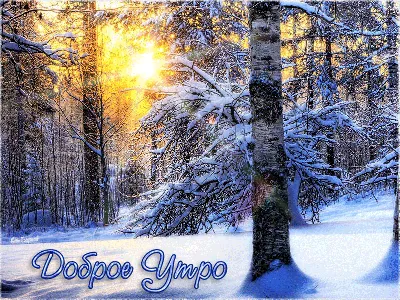 С добрым утром зимние православные открытки - 68 фото