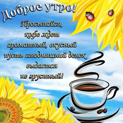 Доброе Утро Воскресение Сентябрь Осень | Новые картинки смешных чудиков | Доброе  утро, Утро воскресенья, Осенние картинки