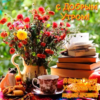 Красивые пожелания! Открытка доброе утро, с добрым утром, котёнок!