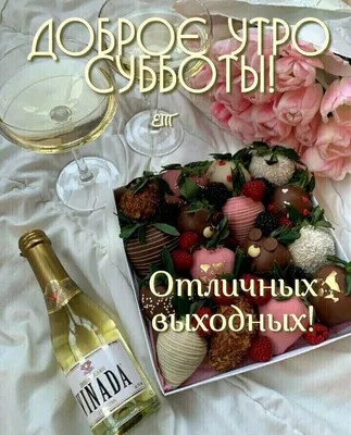 ☻ ПРИВЕТ, ОДНОКЛАССНИКИ! С ДОБРЫМ УТРОМ! ♥ – мем на Fishki.net