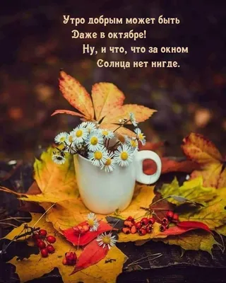 Доброе утро, друзья! Сегодня понедельник, 2 октября Синоптики прогнозируют  2 октября в Удмуртии.. | ВКонтакте