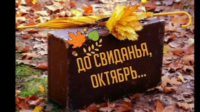 доброе утро#первое утро октября# | TikTok