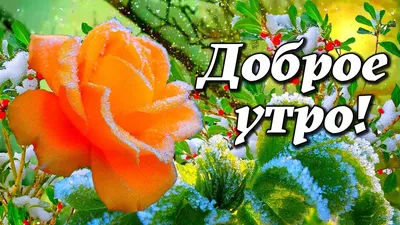 Открытки - Доброе утро! Позитивного дня и хорошего настроения! | Facebook