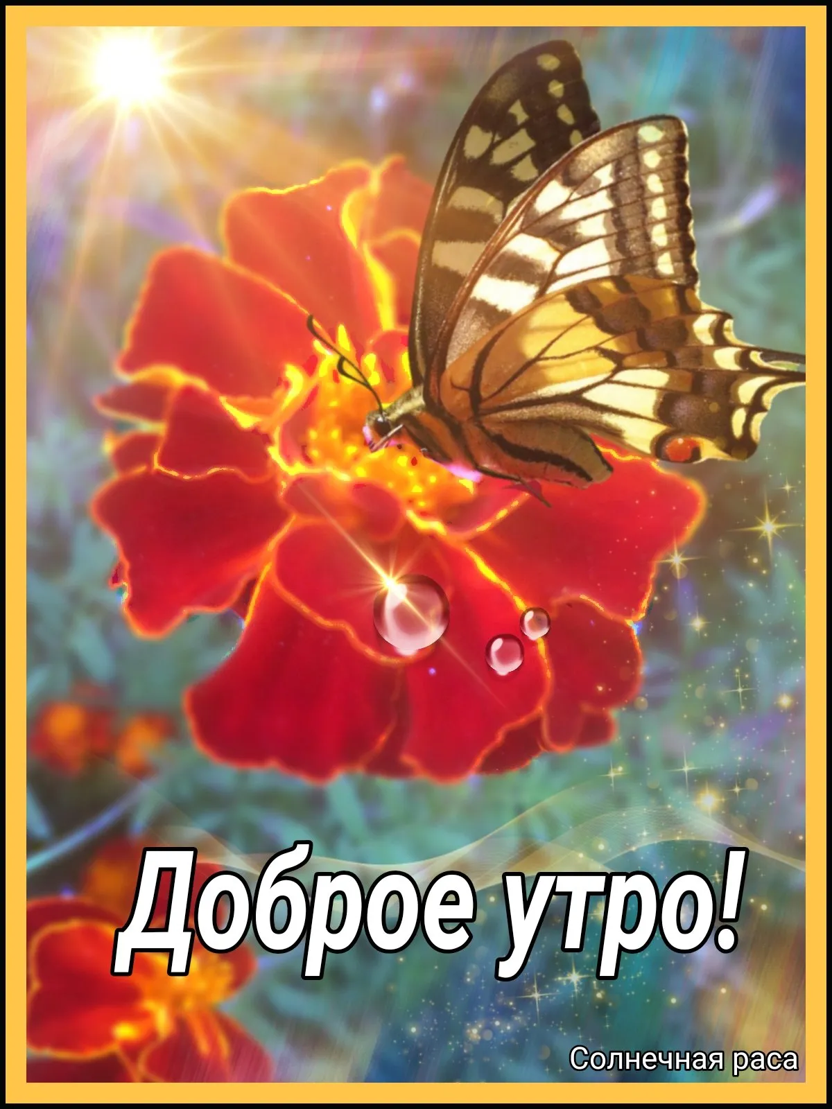 С добрым утром галя